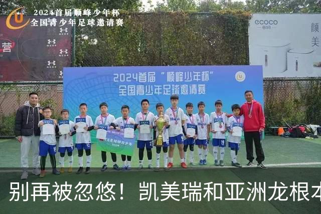 别再被忽悠！凯美瑞和亚洲龙根本不是换壳车，选错真的亏大了