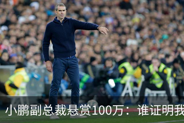 小鹏副总裁悬赏100万：谁证明我们炒作就给谁