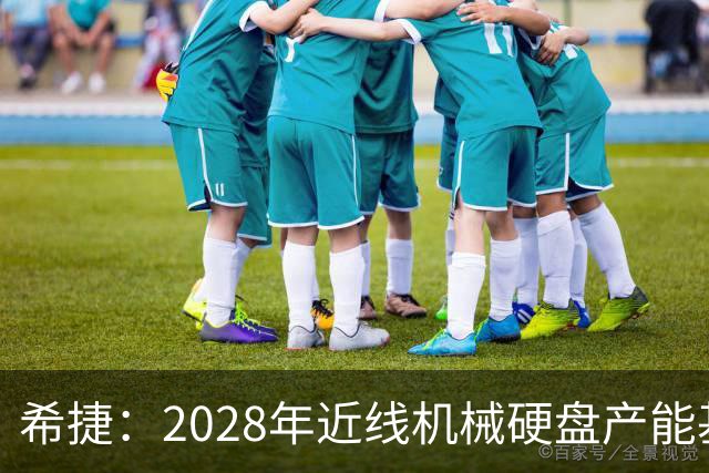 希捷：2028年近线机械硬盘产能基本分配完毕，部分客户协议延长至2030年