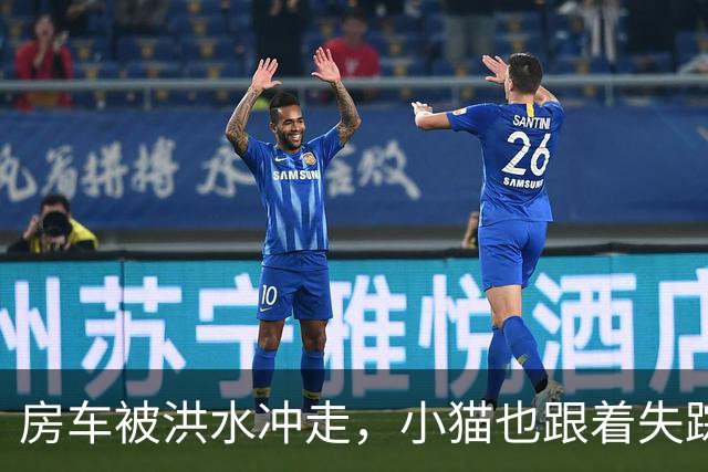 房车被洪水冲走，小猫也跟着失踪，8天后它突然回家了，全家人都哭了