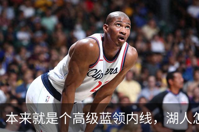 本来就是个高级蓝领内线，湖人怎么能指望他做到面面俱到？
