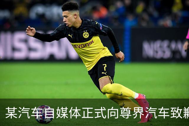 某汽车自媒体正式向尊界汽车致歉，赔偿并全网禁言