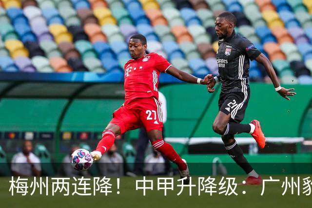 梅州两连降！中甲升降级：广州豹、南通支云冲超，梅州与佛山降级