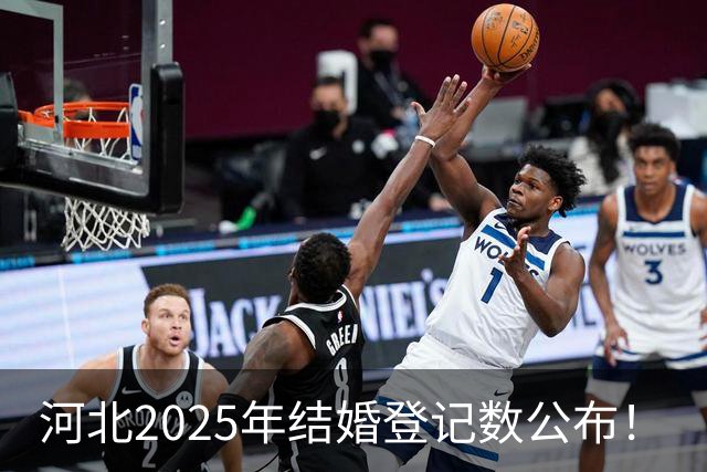 河北2025年结婚登记数公布！