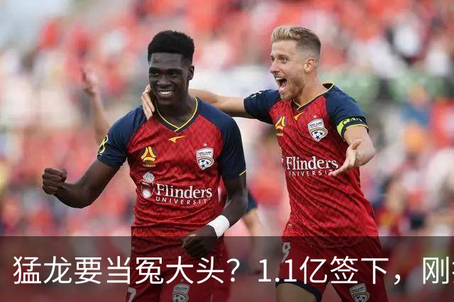 猛龙要当冤大头？1.1亿签下，刚打两场就养伤，快船被他套路了7年