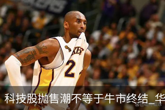 科技股抛售潮不等于牛市终结 华尔街策略师：基本面依然强劲 回调或是买入良机