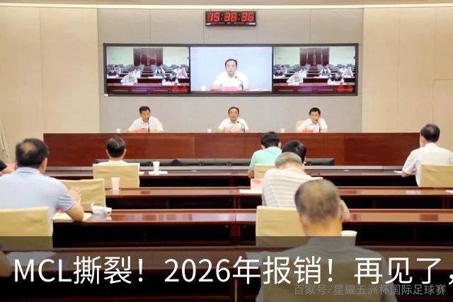 MCL撕裂！2026年报销！再见了，DPOY